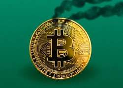 Cuộc đua đốt rác để đào Bitcoin tại Mỹ