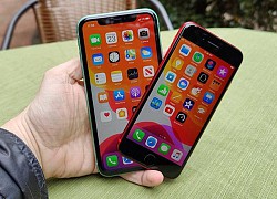 Những lý do tránh xa iPhone SE 2022 dù giá hấp dẫn