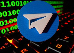 Quên kiểm tra email, Telegram bị Brazil cấm cửa