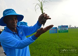 Quy trình "sức mạnh sinh học" là gì mà nông dân nào làm rồi cũng mê tít?