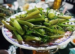 Rau choại, năn bộp và 3 loại rau lạ, ăn một lần nhớ mãi của miền Tây