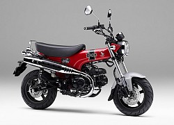 Honda ST125 Dax 2023 trình làng với kiểu dáng chó "lạp xưởng"