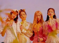 Xuất hiện bông hoa lạ khiến fan BLACKPINK "than trời": Đợi tới mùa xuân 2023 mới comeback?