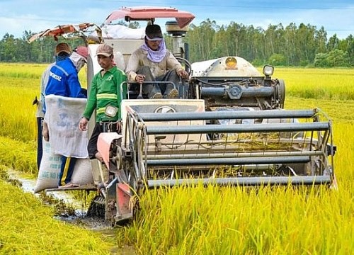 Hiệu quả chương trình tín dụng góp phần thúc đẩy phát triển nông nghiệp vùng đồng bằng sông Cửu Long