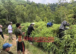 Lạc lối trong mối quan hệ bất chính, người đàn bà rủ tình nhân kém 7 tuổi sát hại chồng