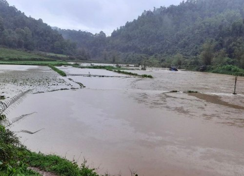 Mưa lớn ở Bắc Kạn, 1.000ha hoa màu chìm trong biển nước, lũ vẫn tiếp tục lên