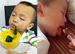 Phì cười xem các em bé vừa ăn vừa ngủ gật