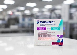 EMA khuyến nghị cấp phép lưu hành thuốc ngăn ngừa COVID-19 của AstraZeneca