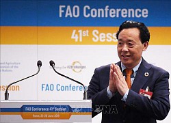 FAO: Mỹ Latinh - chìa khóa cho an ninh lương thực thế giới