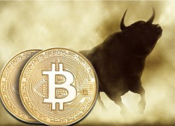 Giá Bitcoin hôm nay 27/3: Bitcoin vượt 44.500 USD, đà tăng sẽ đi đến đâu?