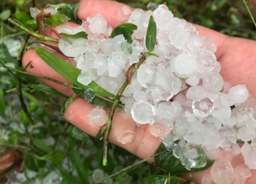 NGAY LÚC NÀY: Đà Lạt mưa đá trắng xoá cả 1 trời chiều Chủ nhật, ai thấy cũng "hú hồn" thay cho Mỹ Tâm và Đông Nhi!