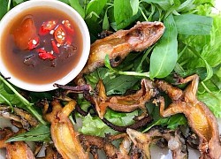 Người Tây Ninh lên núi câu thằn lằn, làm ra món đặc sản trứ danh vùng núi Bà Đen