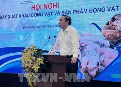 Thúc đẩy chuỗi dự án chăn nuôi gắn với chế biến phục vụ xuất khẩu