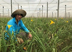 Trồng loài hoa nghe tên thấy "đau nhói", không phải để ngắm mà để ăn, tháng nào cũng bỏ túi vài chục triệu