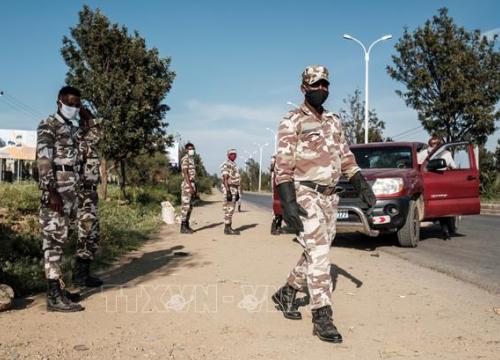 Ethiopia: Lực lượng nổi dậy ở Tigray nhất trí ngừng bắn