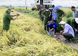 An Giang: Nóng lòng chuột cắn phá lúa, dùng điện bẫy dẫn đến chết người