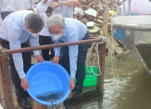 Đồng Nai: Thả hơn 200.000 con giống thuỷ sản xuống sông, toàn đặc sản tôm càng xanh, chạch lấu