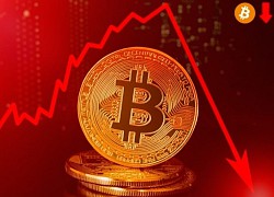 Giá Bitcoin hôm nay 1/4: Bitcoin lao dốc, thị trường chao đảo