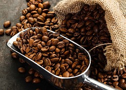 Giá cà phê hôm nay 2/4: Robusta giảm mạnh, arabica tăng tốt; Đáp ứng yêu cầu khắt khe để ổn định ở thị trường Anh