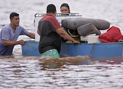 Hàng chục người thiệt mạng và mất tích do lở đất ở Brazil