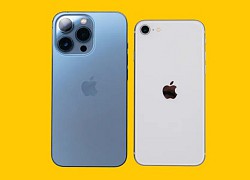 iPhone SE 3 chụp ảnh đẹp ngang ngửa iPhone 13 Pro?