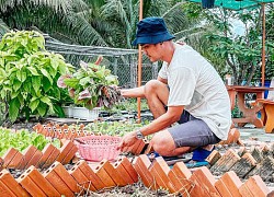 Nông dân trẻ kiếm tiền trực tuyến, vì sao nói "mồi ngon không dễ gắp", "muốn nhanh thì phải từ từ"?