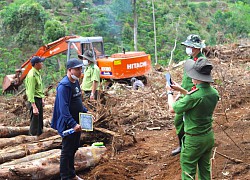 "Nóng" tình trạng phá rừng vùng ven Đà Lạt do... sốt đất?