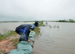 Quảng Trị: Mưa lớn khiến gần 3.000 ha lúa bị ngập