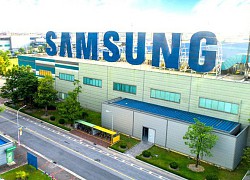 Samsung muốn đầu tư vào Đà Nẵng trong thời gian tới