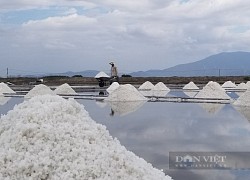 Tham tán nông nghiệp Pháp chỉ ra sự khác biệt, tạo giá trị cao cho hạt muối thủ công