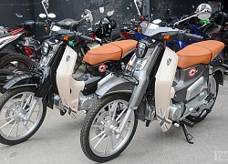 GPX POPZ 110 về Việt Nam giá 36,5 triệu đồng, kiểu dáng giống Super Cub