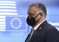 Hungary có nguy cơ bị EU đình chỉ nhận trợ cấp từ các quỹ châu Âu