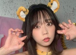 Trổ tài cosplay loài hổ, gái xinh Nhật Bản khiến netizen lác mắt khi ngắm "chúa sơn lâm" phiên bản gợi cảm