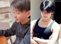 Con trai Trương Bá Chi gây ngỡ ngàng với ngoại hình ở tuổ.i 12 giống tạc tượng với Tạ Đình Phong