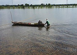 Cửu Long một mai còn có hai mùa?