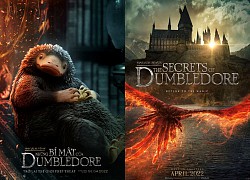 Điểm danh 7 sinh vật huyền bí 'đốn tim' khán giả sẽ đổ bộ trong phần 3 của 'Fantastic Beasts'