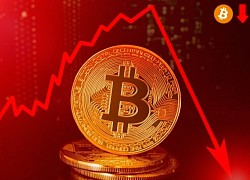 Giá Bitcoin hôm nay 6/4: Bitcoin lao dốc, thị trường rực đỏ