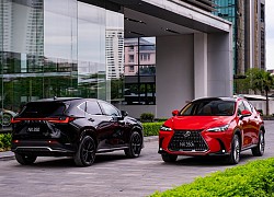 Lexus NX 2022 ra mắt tại Việt Nam, giá từ 3,1 tỷ đồng