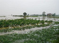 Miền Trung - Tây Nguyên chủ động ứng phó mưa lớn