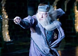 Bóc trần profile siêu khủng của người mà Harry Potter tôn thờ: Xuất sắc tới độ có cả phần phim riêng