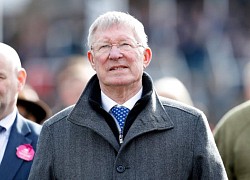 Chiến mã của Sir Alex lại thắng giải