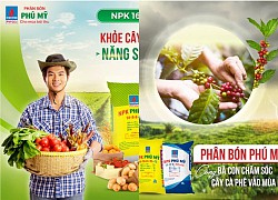 Giá phân bón hôm nay 7/4: Không có biến động