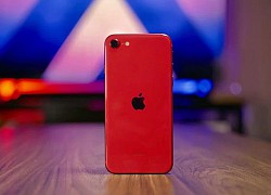 iPhone SE đã "lột xác" thế nào qua các thế hệ