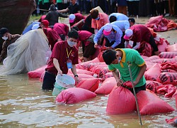 Lễ thả cá phóng sinh, tái tạo nguồn lợi thủy sản tại sông Lam