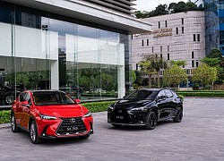 Lexus NX mới xuất hiện, khẳng định vị thế dẫn đầu phân khúc SUV hạng sang cỡ nhỏ