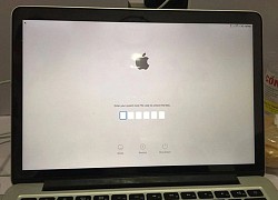 Loại MacBook bạn nên tránh mua dù có giá rẻ