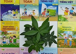 Những nội dung đáng chú ý trong quy trình thực nghiệm sách giáo khoa