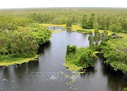 Quản lý bền vững tài nguyên đất than bùn ở Vườn Quốc gia U Minh Hạ