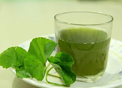 4 loại nước uống giải nhiệt mùa hè mà không lo tốn tiền