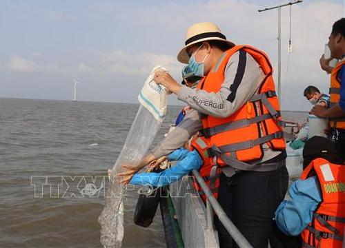 Bạc Liêu thả 4,2 triệu con tôm giống tái tạo nguồn lợi thủy sản